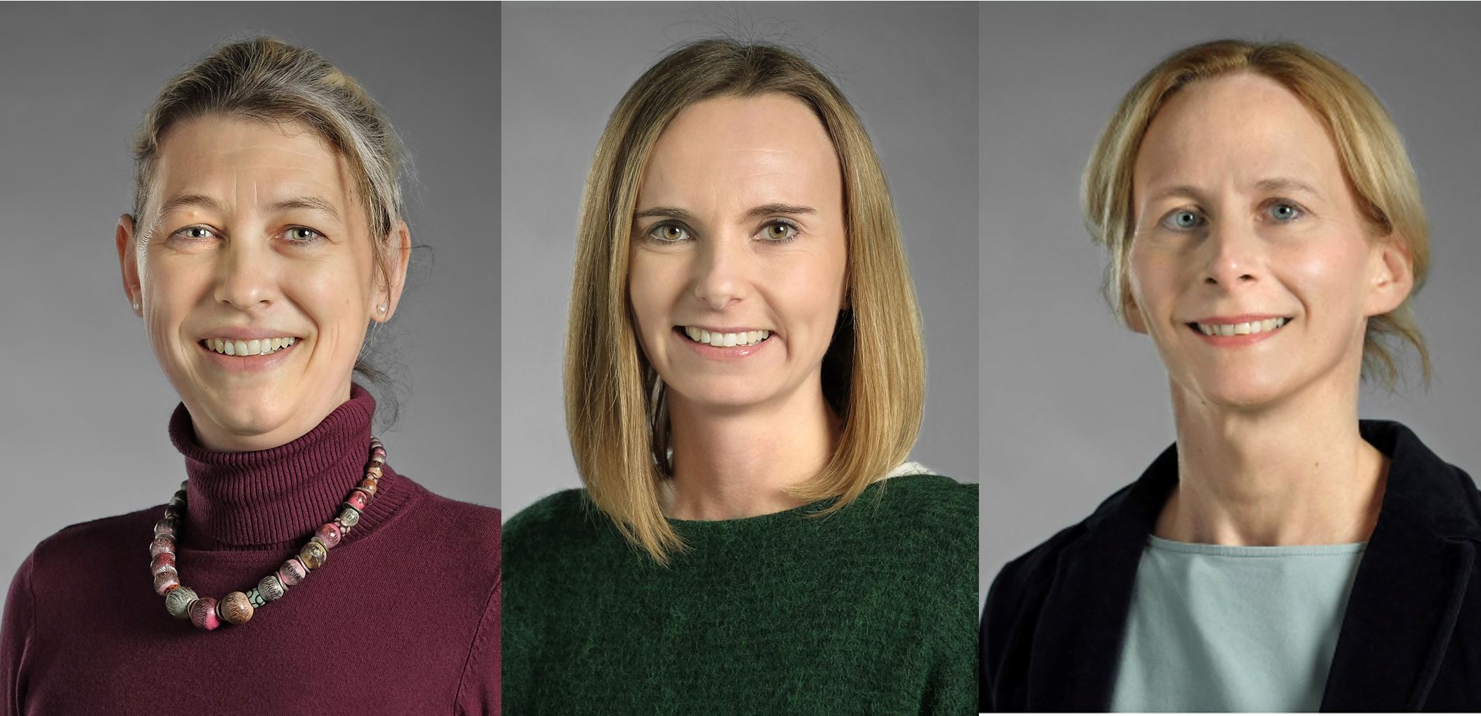 Dr. Astrid Krummenauer-Grasser, Dr. Agnes Jiresch-Stechele, Dr. Karoline Hillesheim